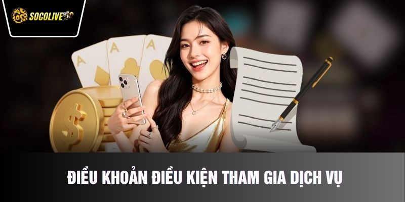 Điều khoản điều kiện tham gia vào hệ thống dịch vụ chuyên nghiệp